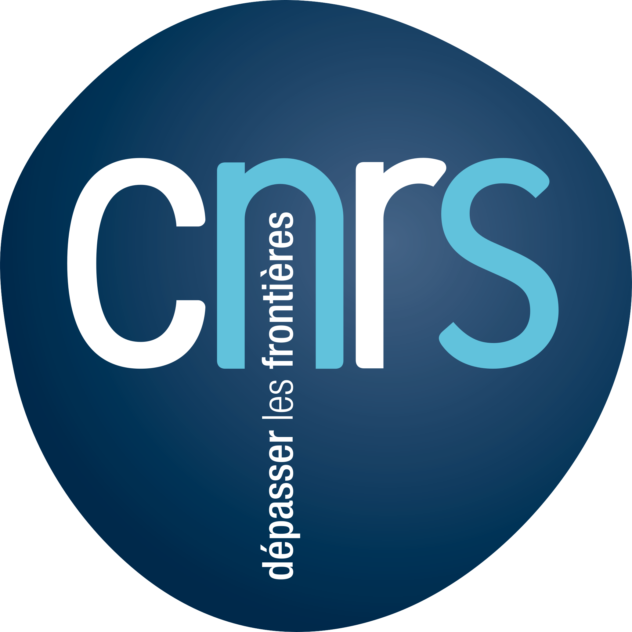 PP6_CNRS_Logo