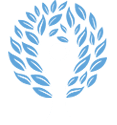 Sara Hernandez Consulting logo